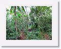 08-StLucia - 029